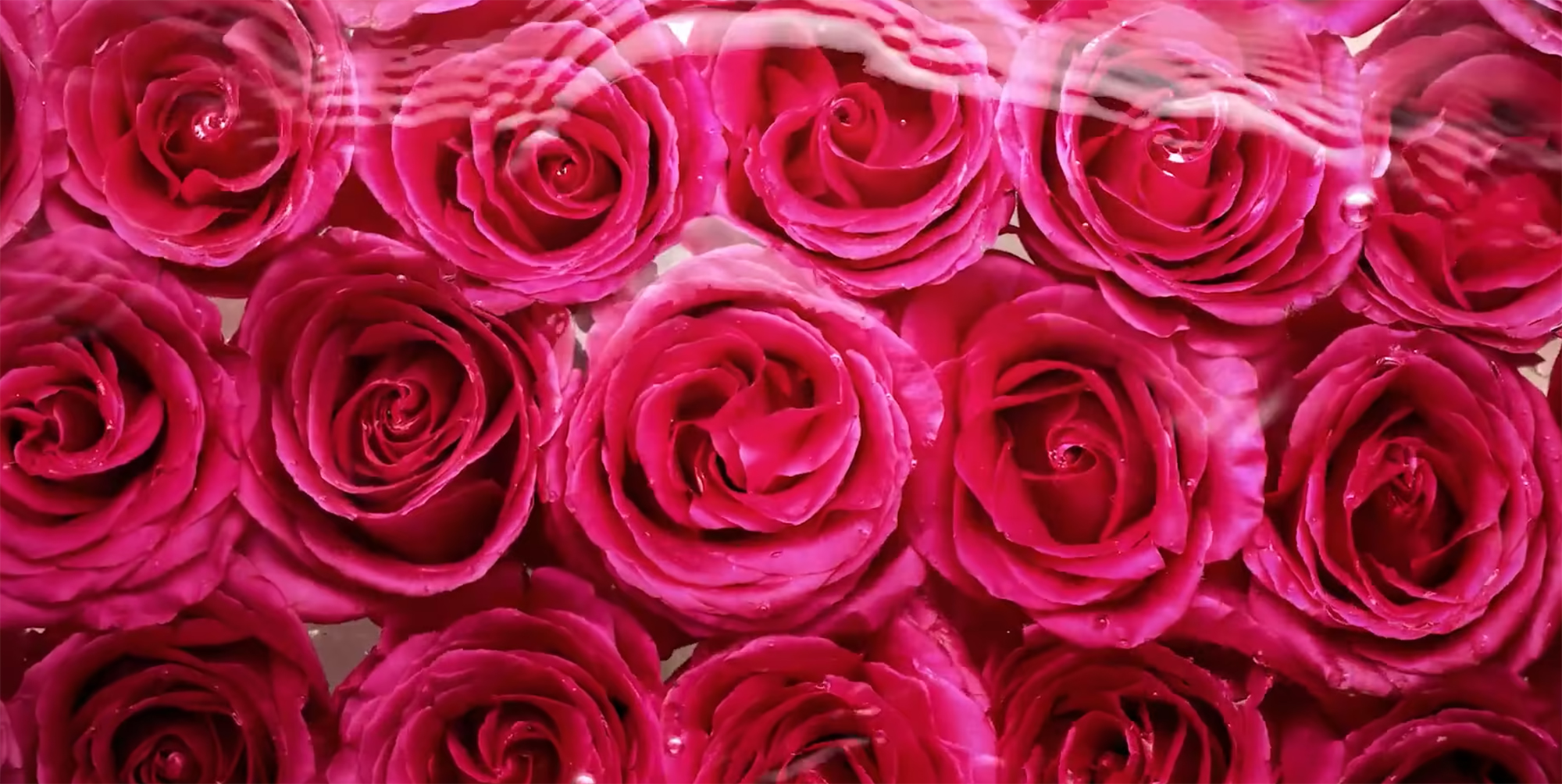 Preview Image for Florena Fermenta Skincare, 