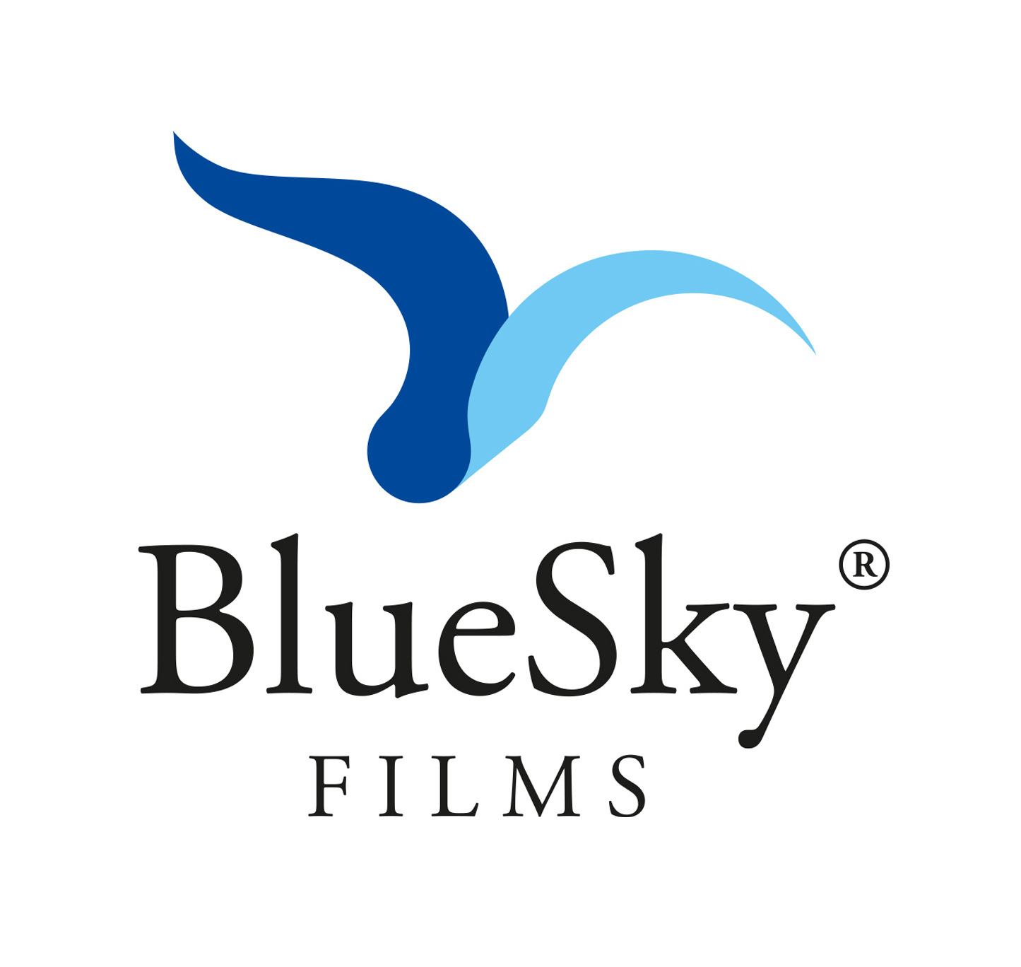 Logo Blue Sky Films | Montenegro