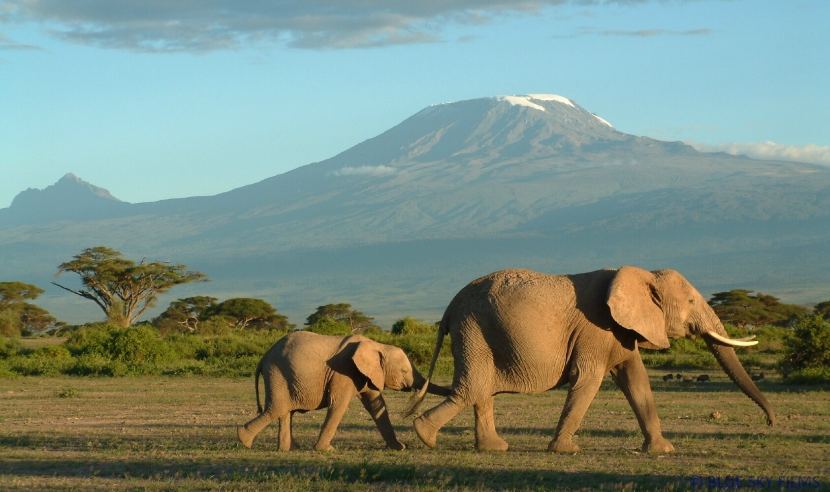 Promo Image Kenya