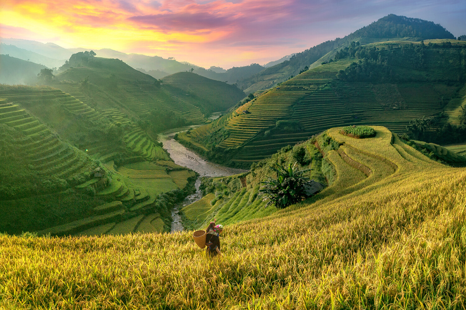 Promo Image Vietnam
